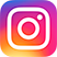 Social Icon Instagram