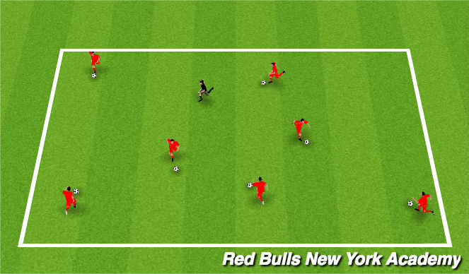 Football/Soccer Session Plan Drill (Colour): Animal Dribbling Warm up