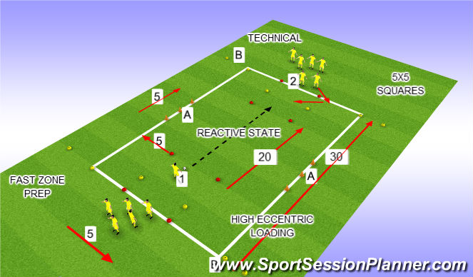 Reactive Shuttle, Agility Drill