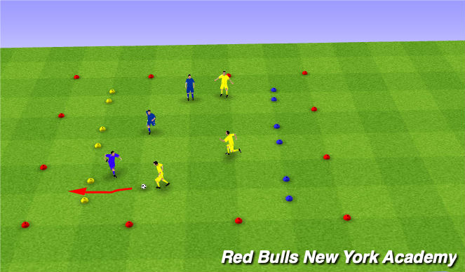 Football/Soccer Session Plan Drill (Colour): Game of 3 gates