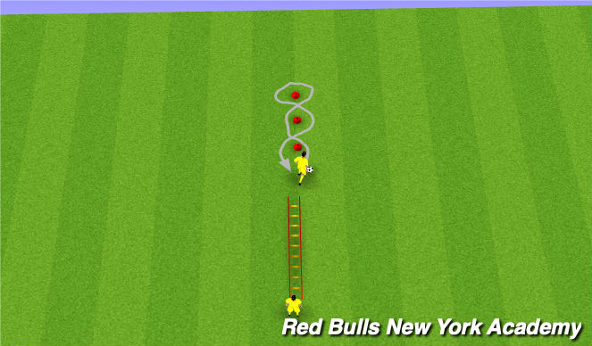 Football/Soccer Session Plan Drill (Colour): Ladder + dribbling