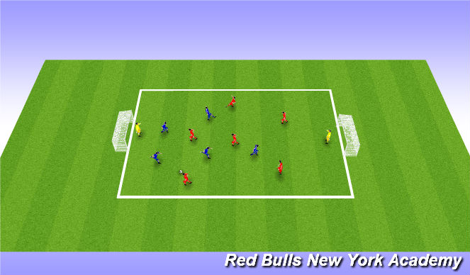 Football/Soccer Session Plan Drill (Colour): SSG