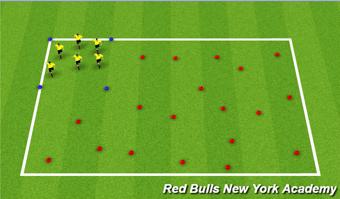 Football/Soccer Session Plan Drill (Colour): Bring the Animal Home