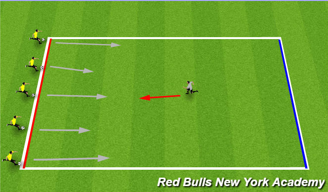 Football/Soccer Session Plan Drill (Colour): Zookeeper