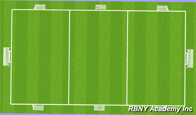 Football/Soccer Session Plan Drill (Colour): SSG