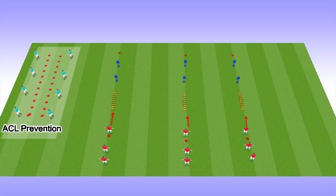 Football/Soccer Session Plan Drill (Colour): Warmup-ACL Prevention