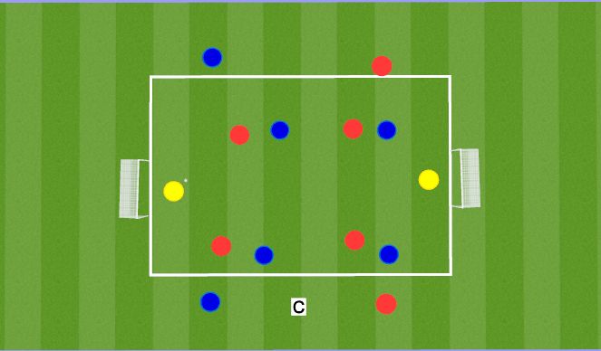 Football/Soccer Session Plan Drill (Colour): SSG