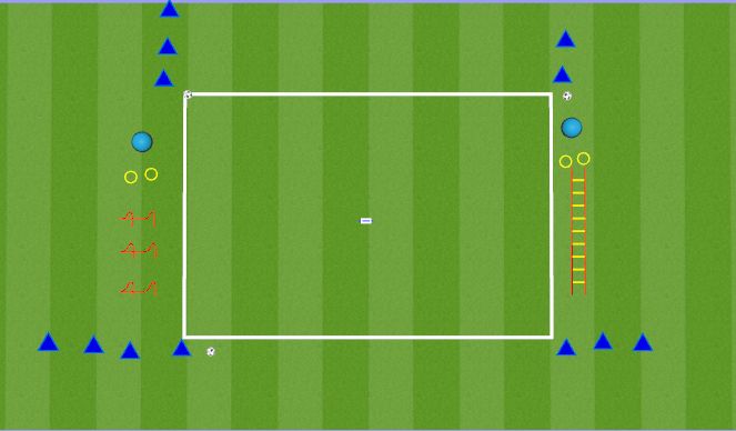 Football/Soccer Session Plan Drill (Colour): Coordination and Passing