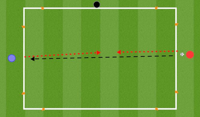 Football/Soccer Session Plan Drill (Colour): Score through the gates