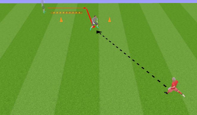 Football/Soccer Session Plan Drill (Colour): Ladder run