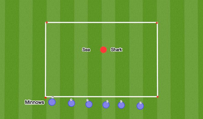 Football/Soccer Session Plan Drill (Colour): Sharks & Minnows