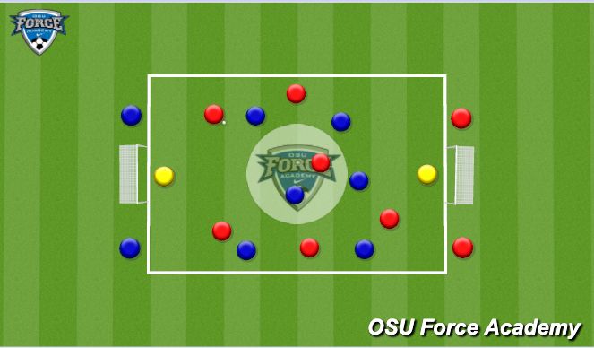 Football/Soccer Session Plan Drill (Colour): SSG