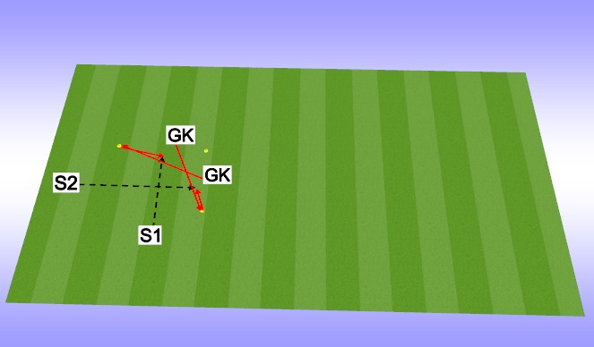Football/Soccer Session Plan Drill (Colour): Movement in Goal