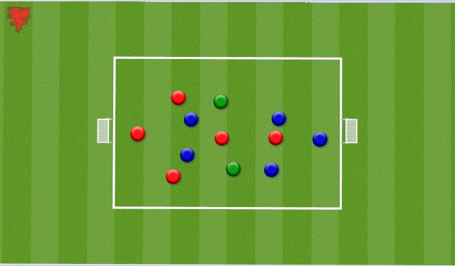 Football/Soccer Session Plan Drill (Colour): SSG